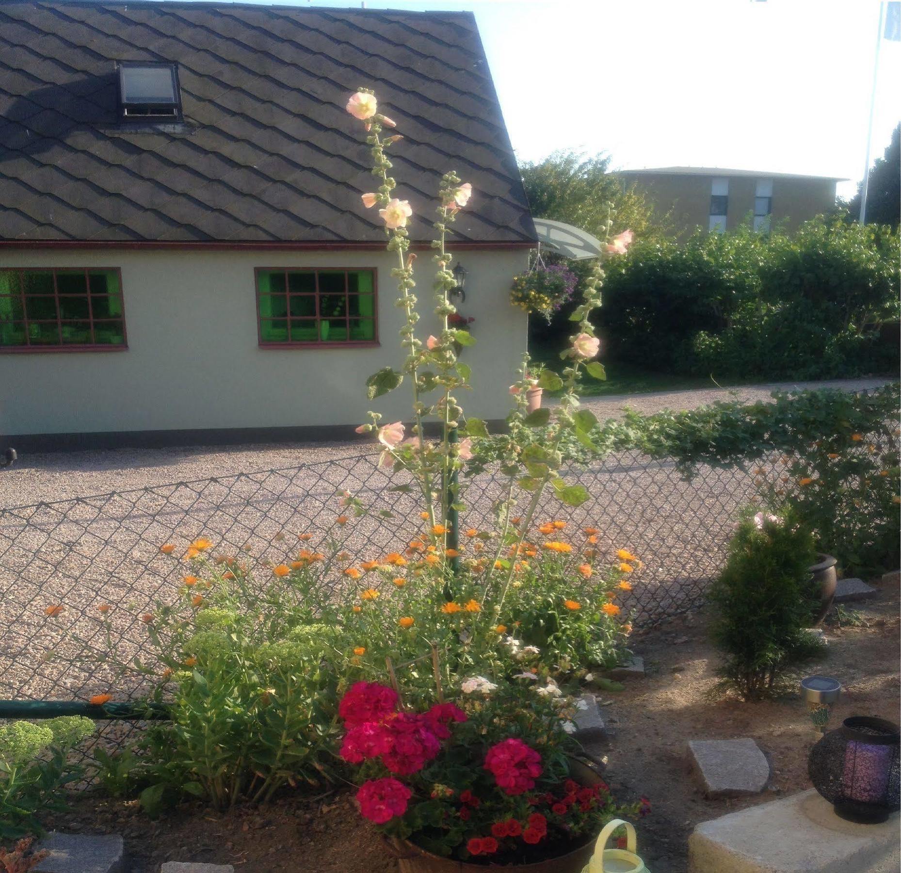 Vivans Bed And Self Catering Kristianstad Exterior foto